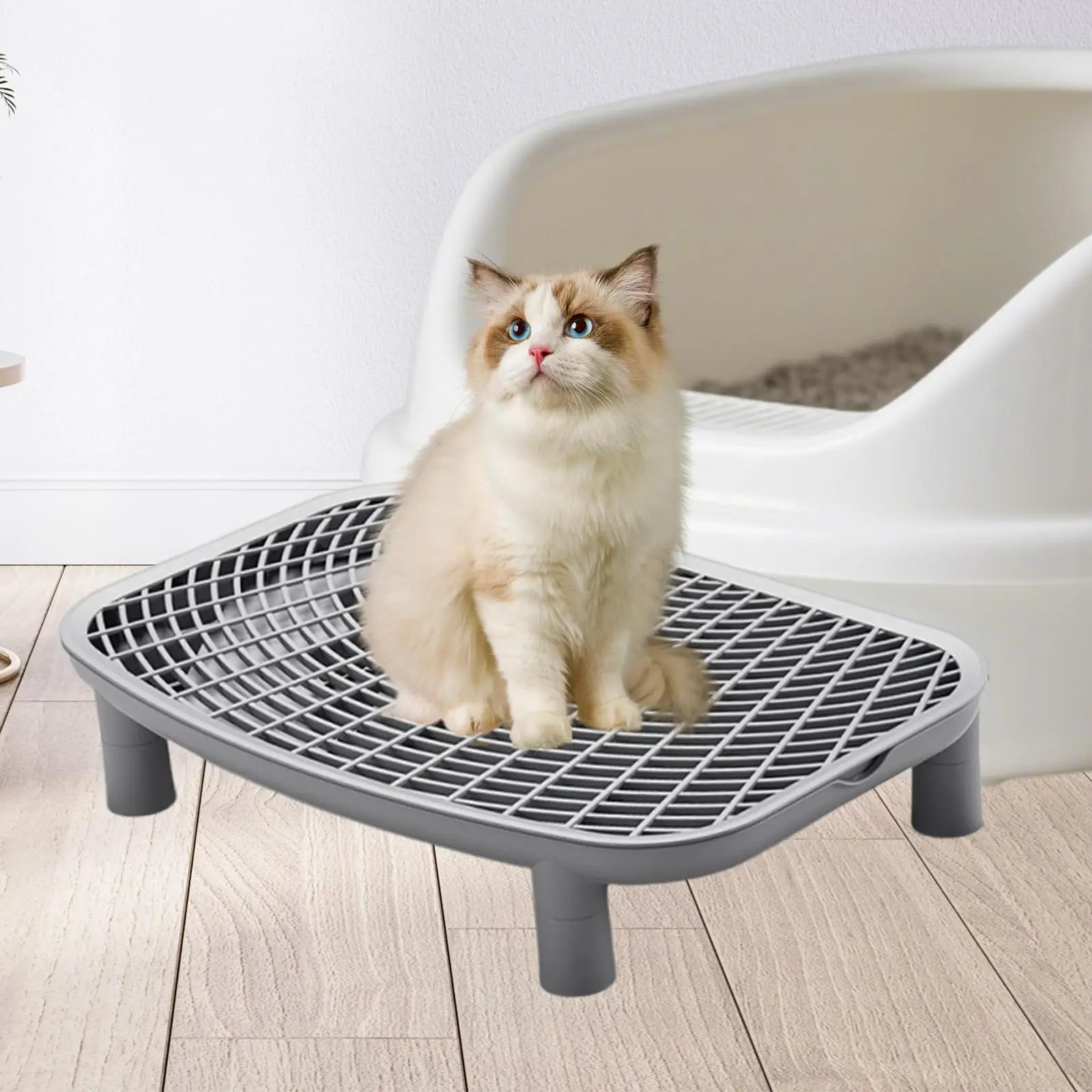 Rampa de Areia para Gatos 46x30 cm com Malha para Conter Sujeira - Imagem 4