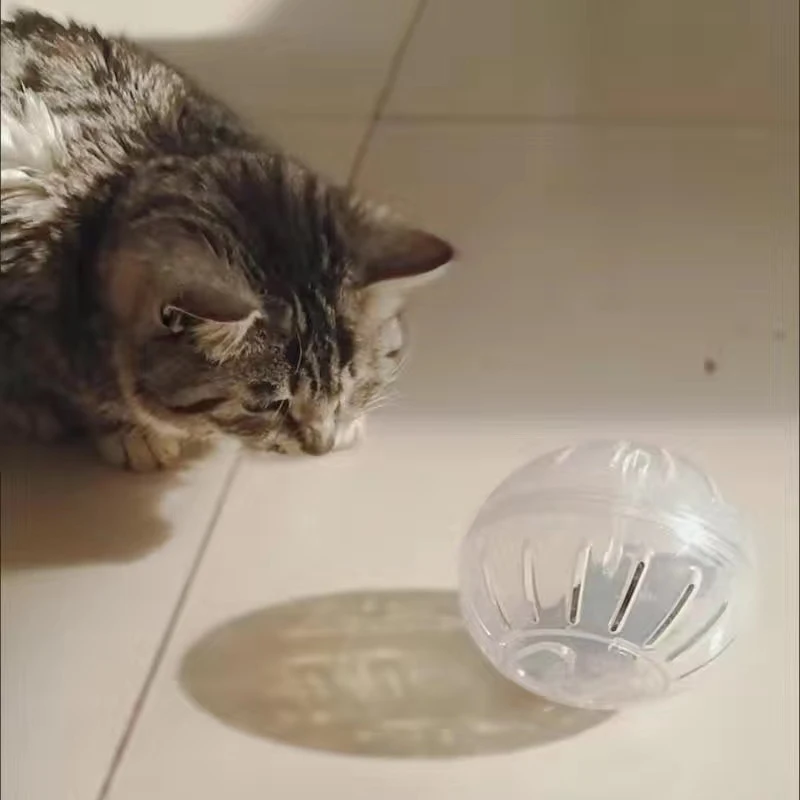 Bola de Corrida para Hamster de 12 a 14,5 cm para Exercício - Imagem 6