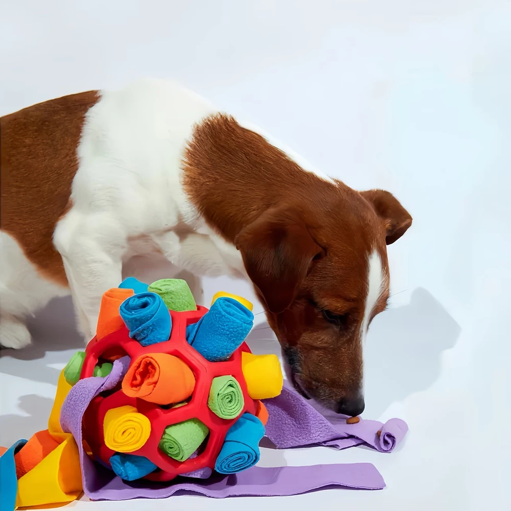 Bola Interativa para Cães com Dispensador de Petiscos Lavável na Máquina - Imagem 5