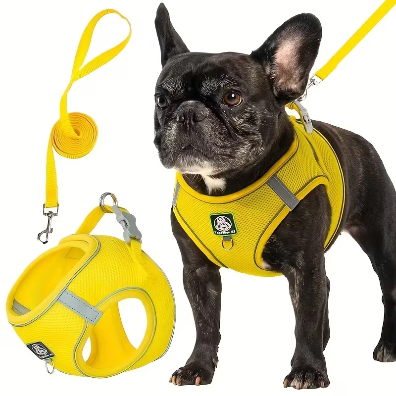 Peitoral e Guia para Cães Pequenos e Médios, 2 Peças - Imagem 5