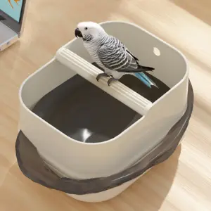 suporte de treinamento de mesa para pássaros