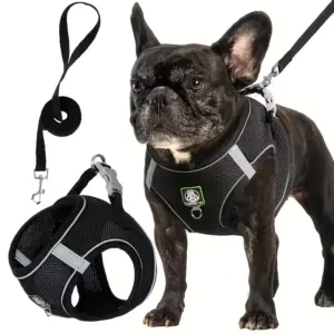 peitoral e guia para cães pequenos e médios