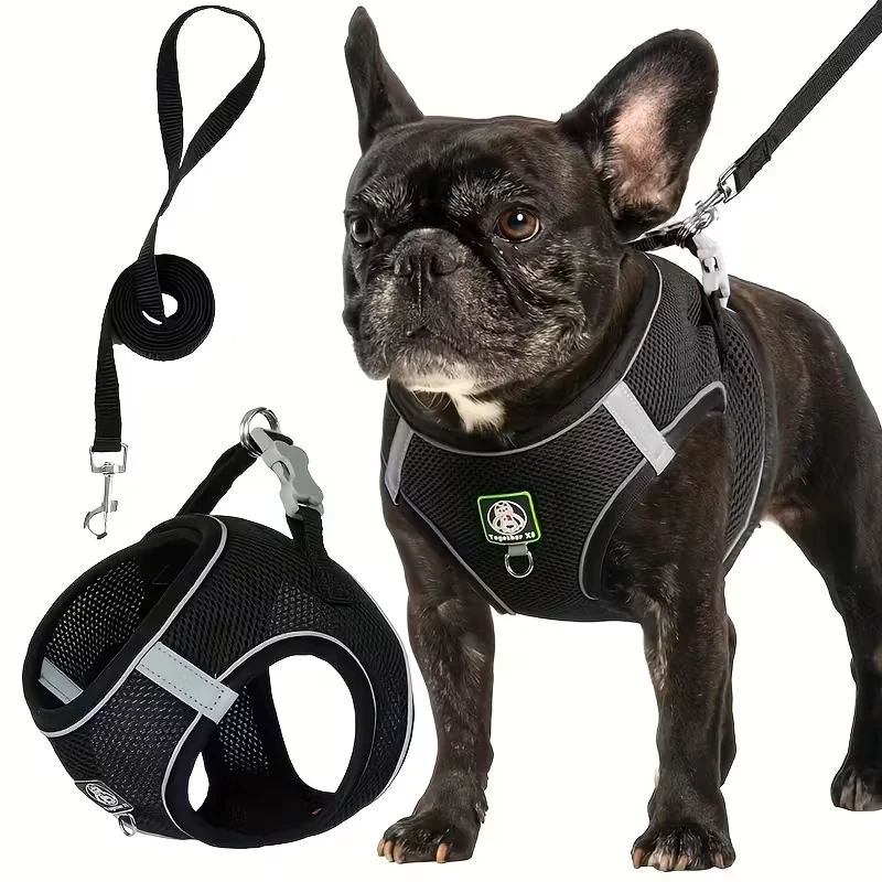 peitoral e guia para cães pequenos e médios