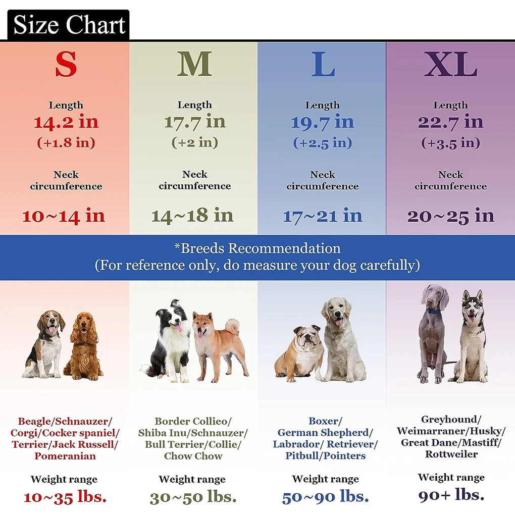 Coleira de Treinamento para Cães com Fivela Ajustável Refletiva - Image 5