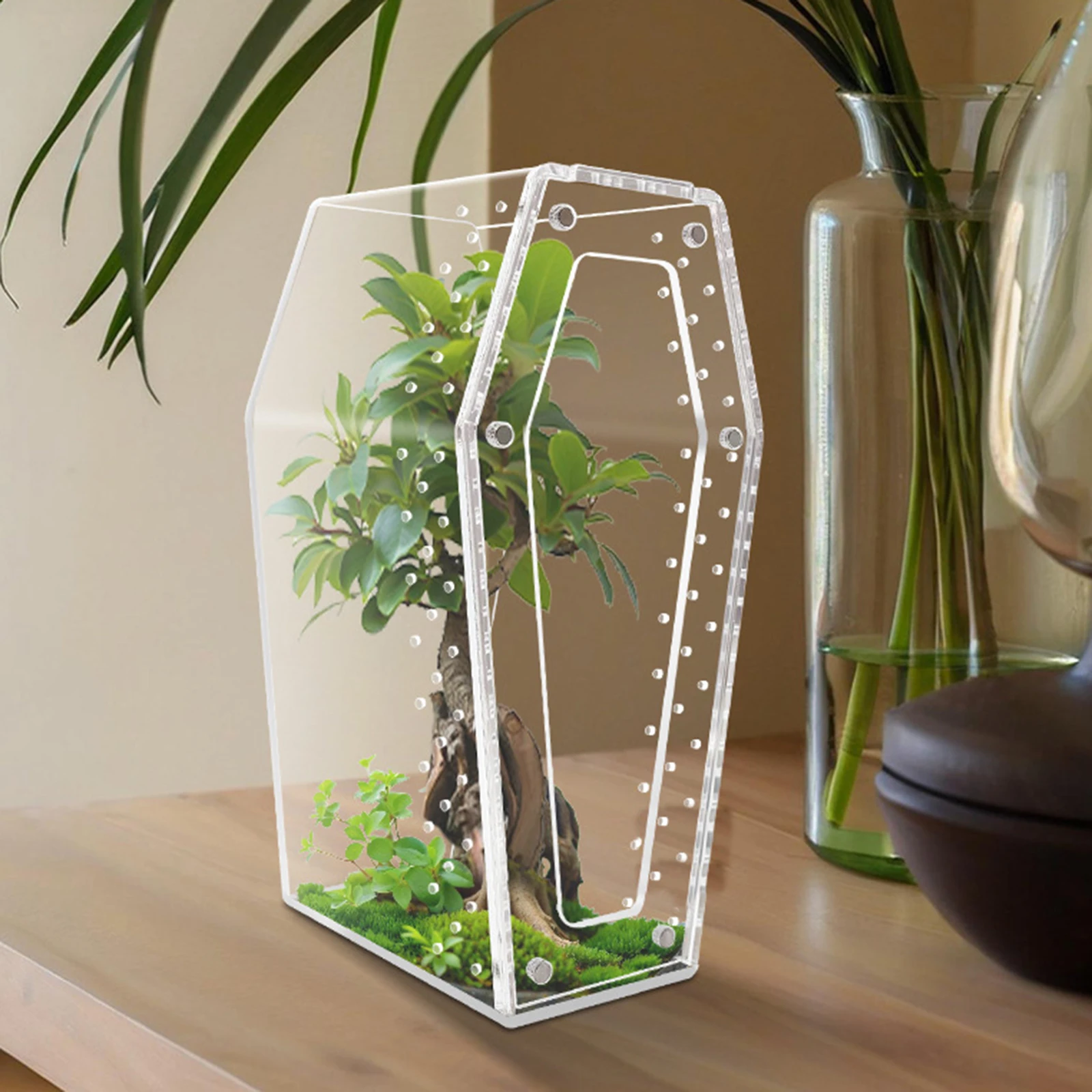 Gaiola de Aranha Acrílica Transparente com Ventilação 20x10x10 cm - Imagem 4