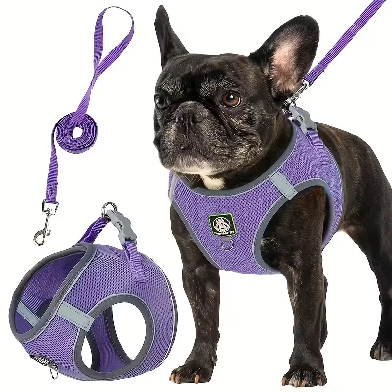Peitoral e Guia para Cães Pequenos e Médios, 2 Peças - Imagem 6