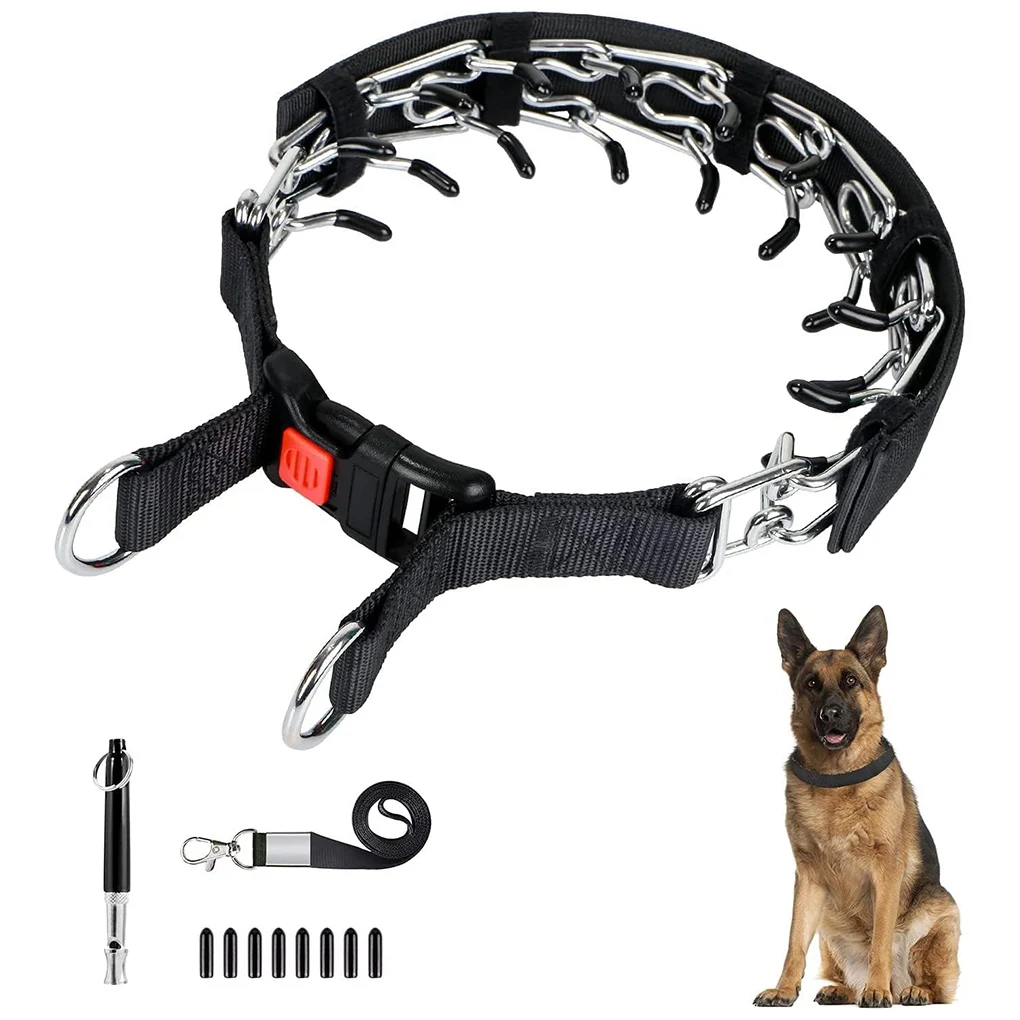 coleira de treinamento para cães com fivela ajustável