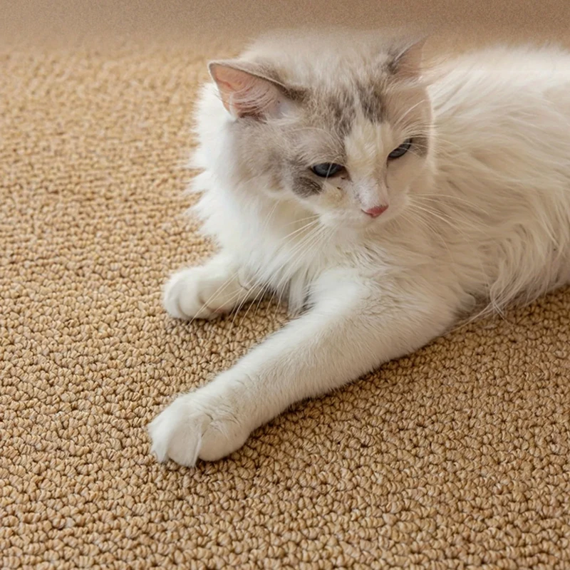 Tapete Arranhador para Gatos de Sisal Sintético 50x80 cm Antiderrapante - Imagem 6