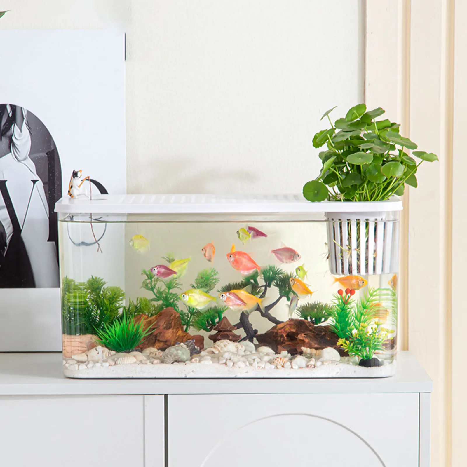 Terrário de Plástico para Répteis e Peixes 31,6 cm com Visão Clara - Imagem 4