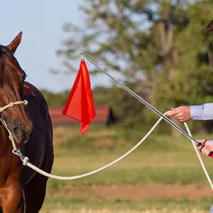 bandeira de treinamento equestre com mastro telescópico