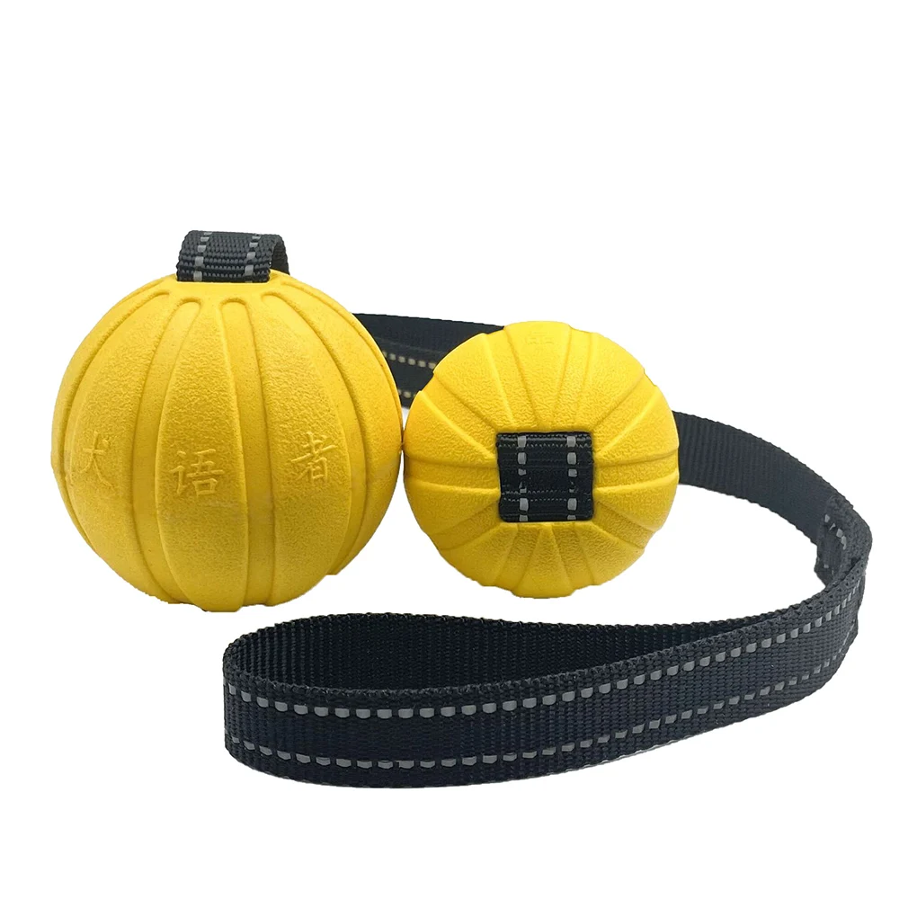 Bola com Corda para Cães Flutuante de Espuma EVA para Mastigadores - Imagem 5