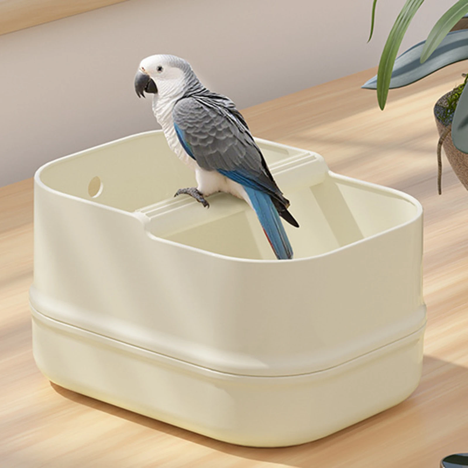 Suporte de Treinamento de Mesa para Pássaros de PP com Base Removível - Image 2
