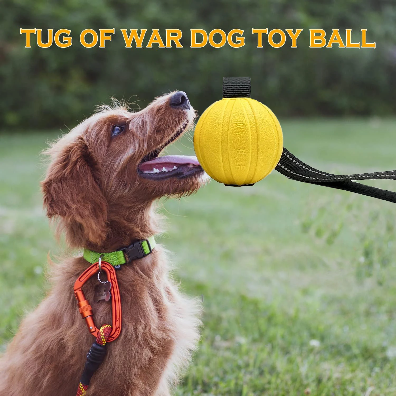 Bola com Corda para Cães Flutuante de Espuma EVA para Mastigadores - Imagem 2