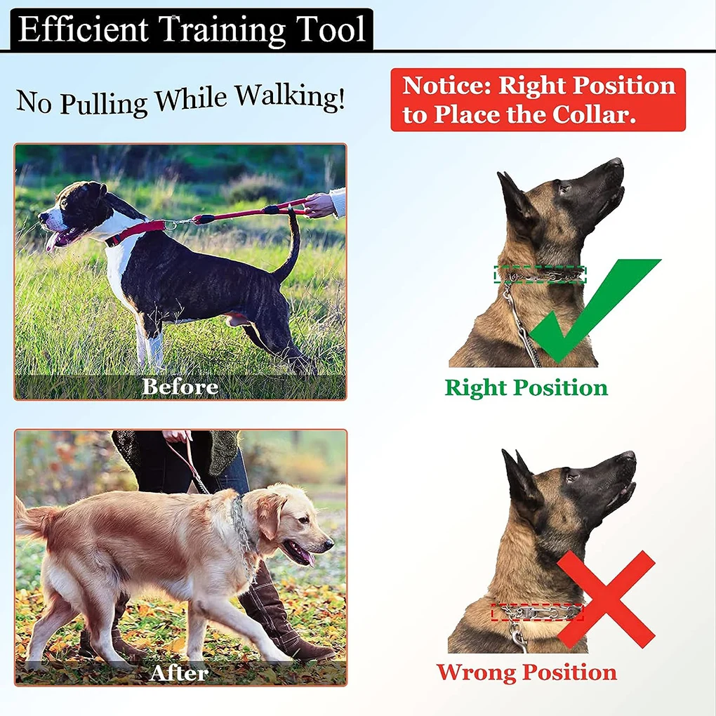 Coleira de Treinamento para Cães com Fivela Ajustável Refletiva - Image 6