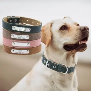 coleira para cães e gatos com nome gravado