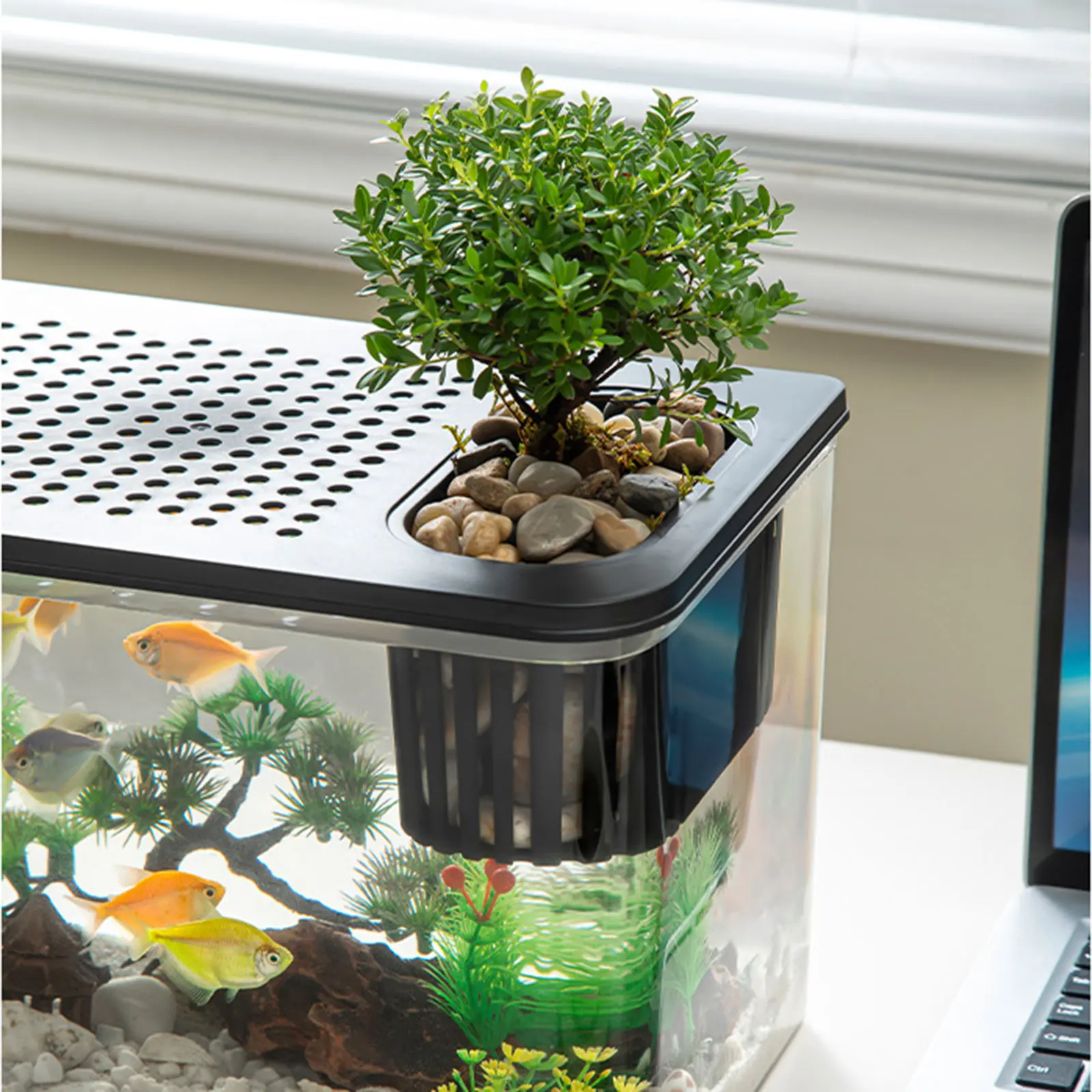 Terrário de Plástico para Répteis e Peixes 31,6 cm com Visão Clara - Imagem 3