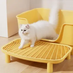 rampa de areia para gatos