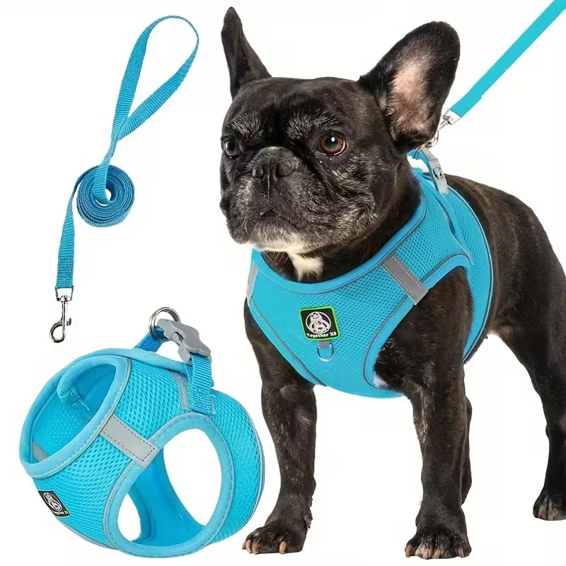 Peitoral e Guia para Cães Pequenos e Médios, 2 Peças - Imagem 4