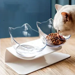 tigela elevada para gatos
