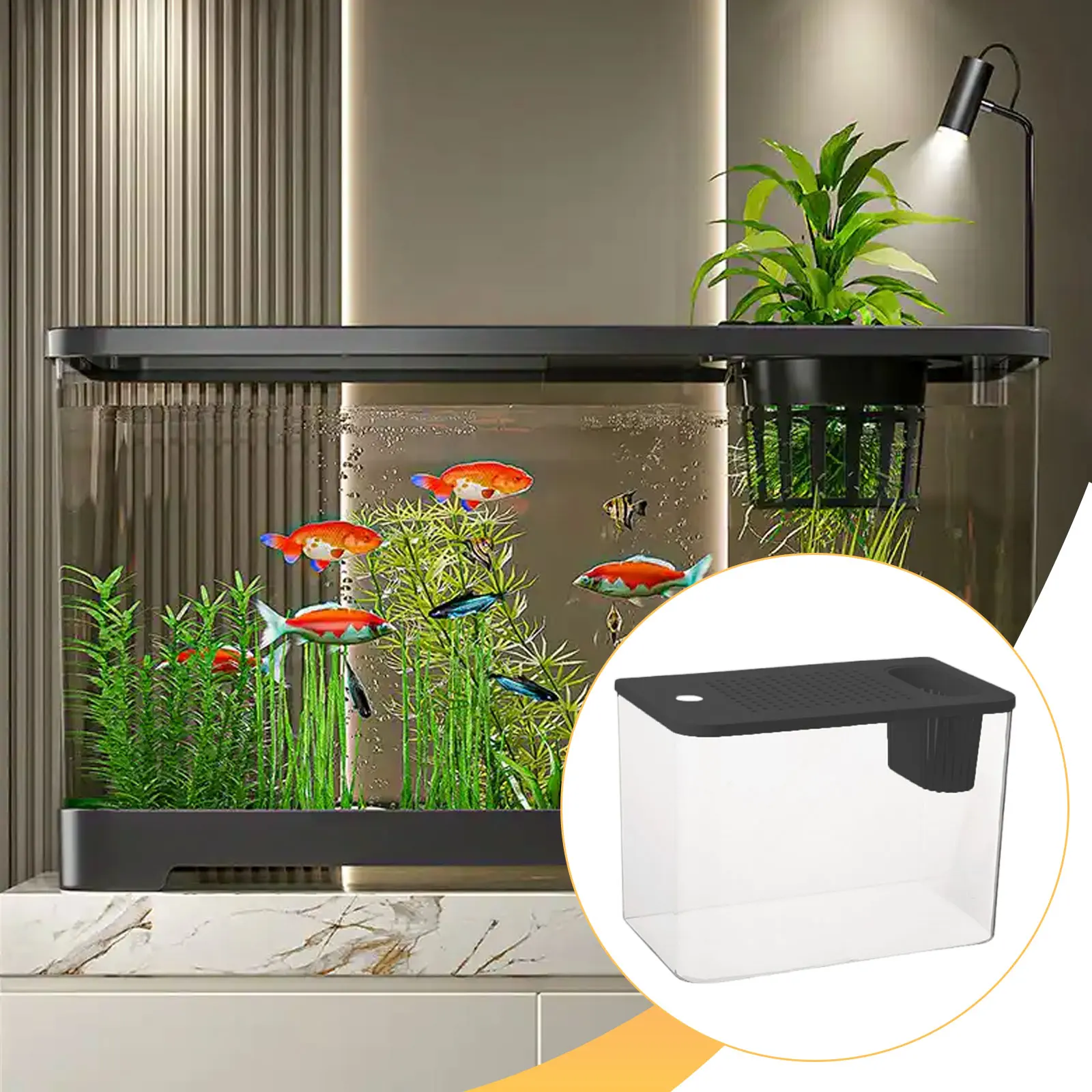 terrário de plástico para répteis