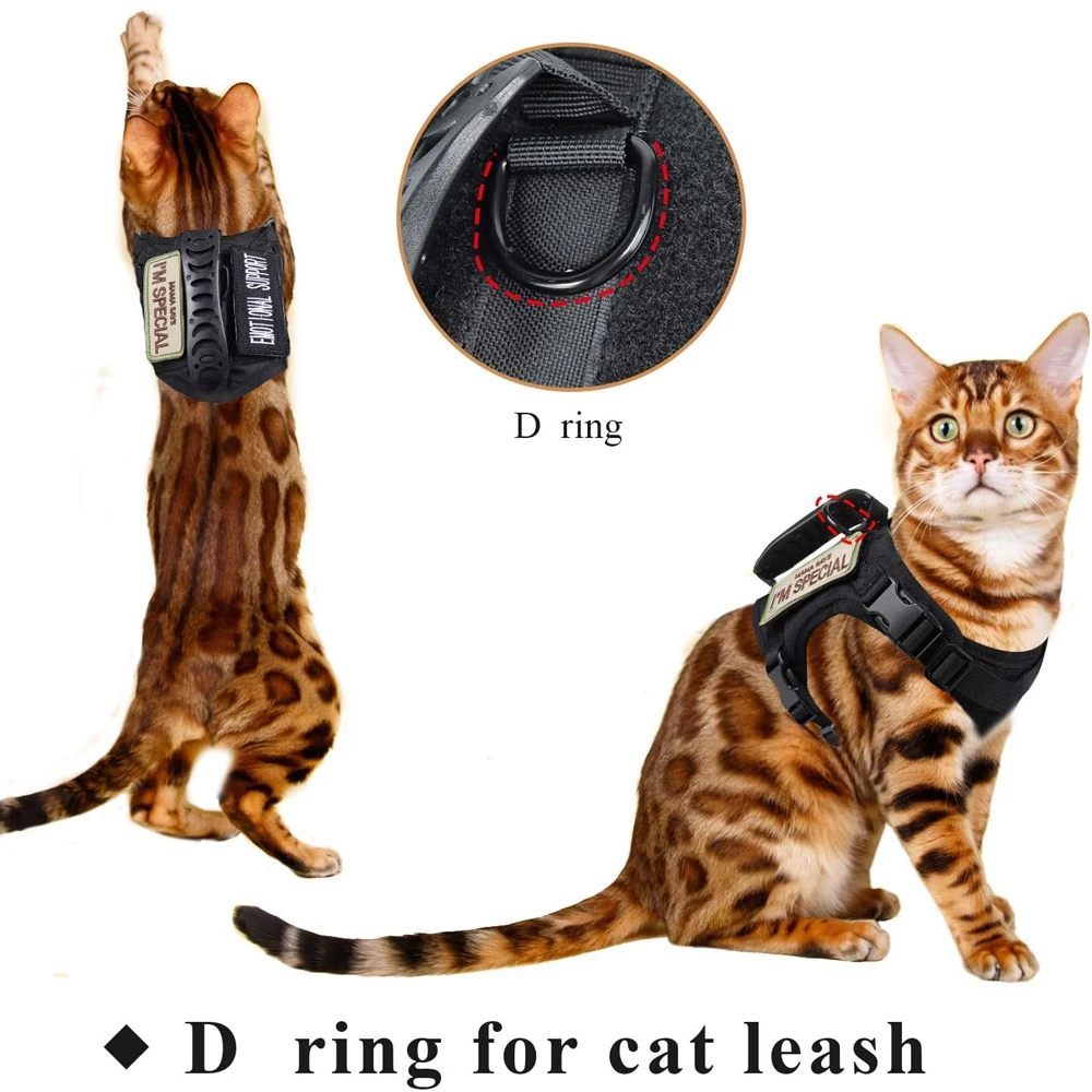 Coleira Tática para Gatos Ajustável com Velcro Resistente - Imagem 3