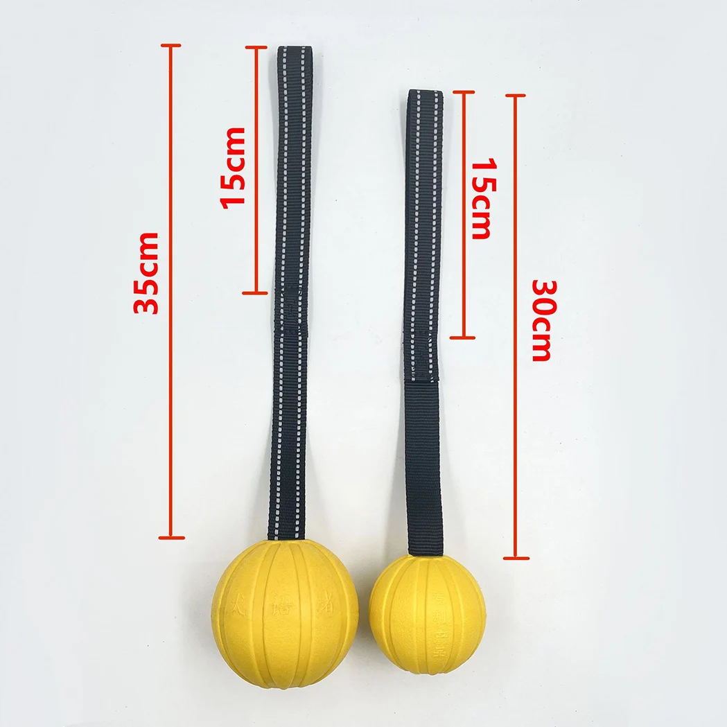 Bola com Corda para Cães Flutuante de Espuma EVA para Mastigadores - Imagem 6