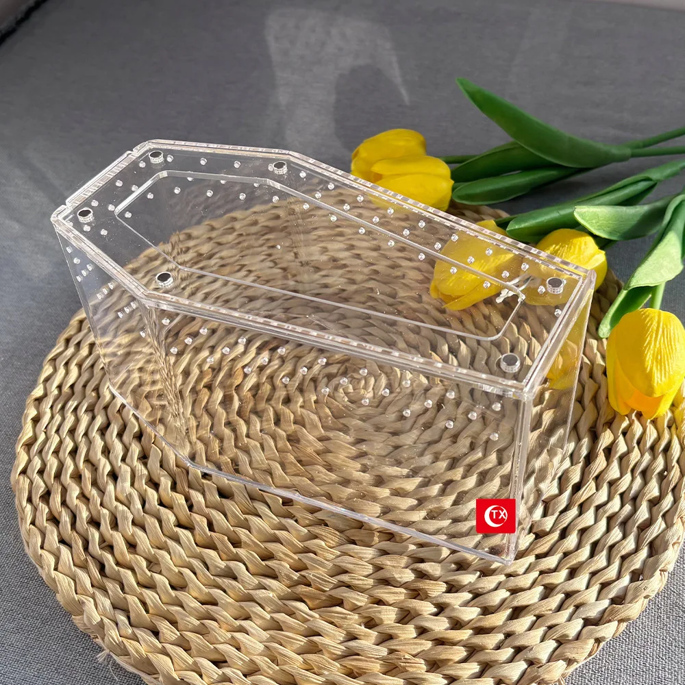 Gaiola de Aranha Acrílica Transparente com Ventilação 20x10x10 cm - Imagem 2
