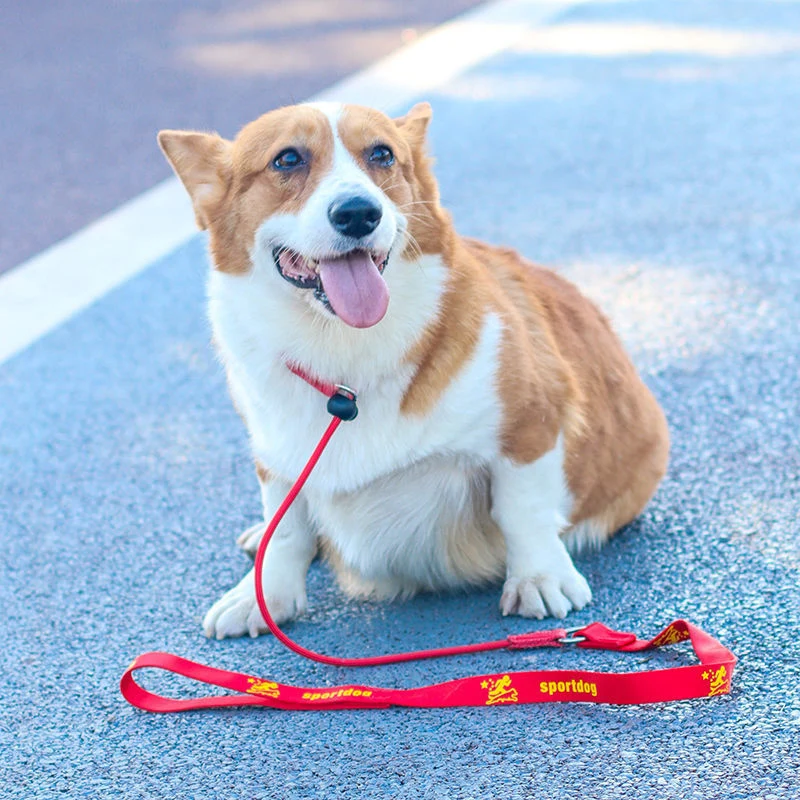 Coleira e Guia para Cães 2 em 1 de Nylon 150 cm - Imagem 5