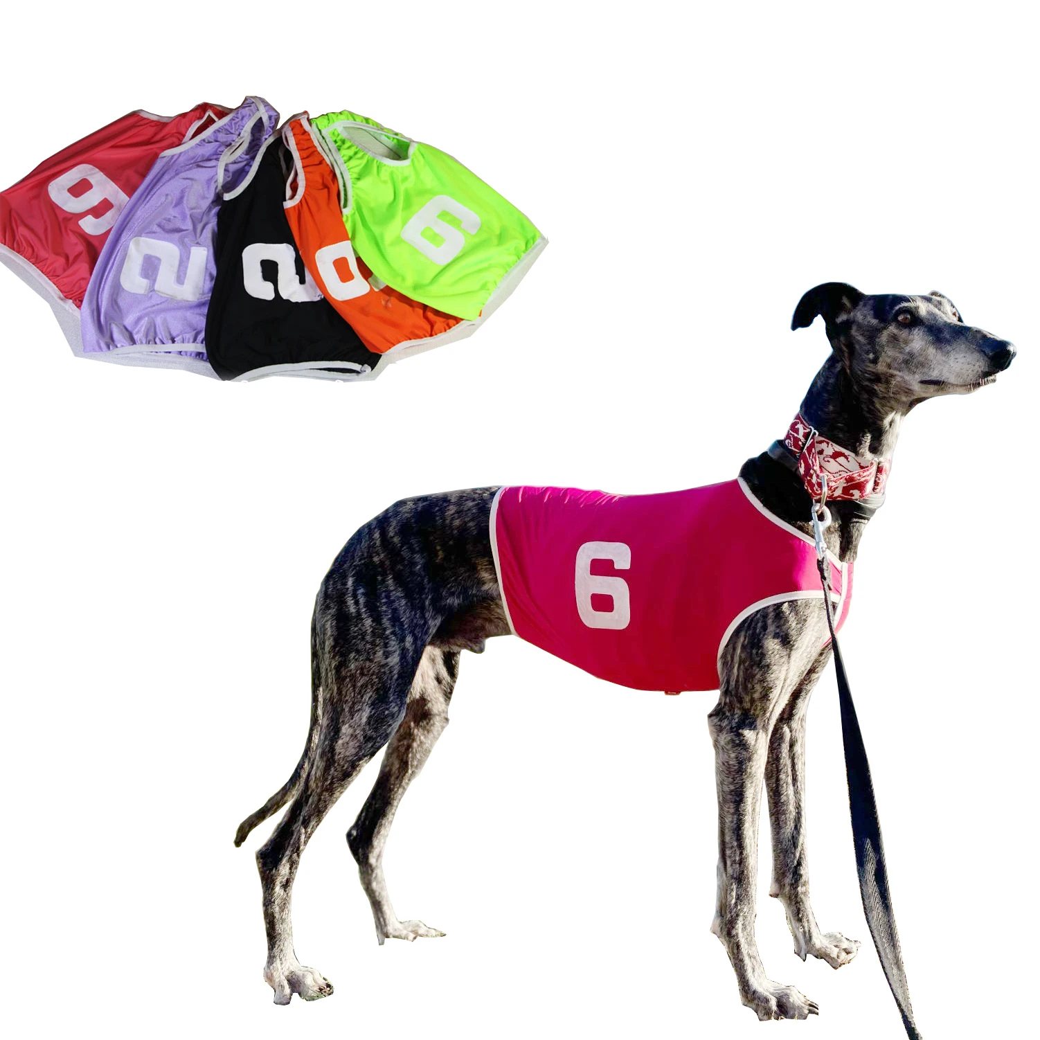 colete para cães de corrida galgos
