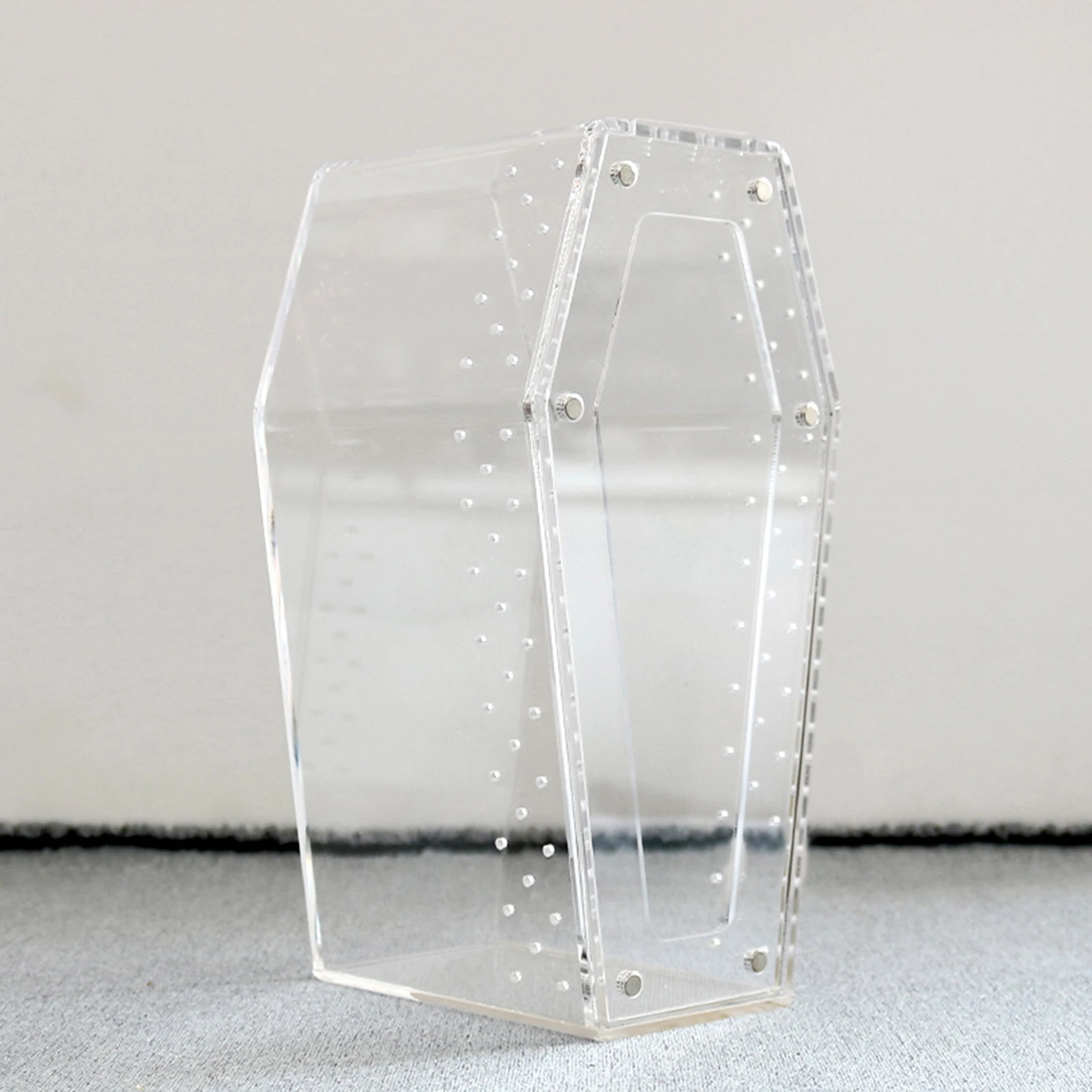 Gaiola de Aranha Acrílica Transparente com Ventilação 20x10x10 cm - Imagem 3