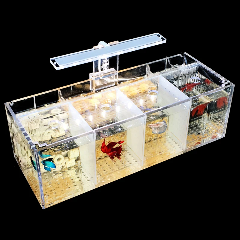 Tanque para Peixe Betta Acrílico Transparente 220V - Imagem 2