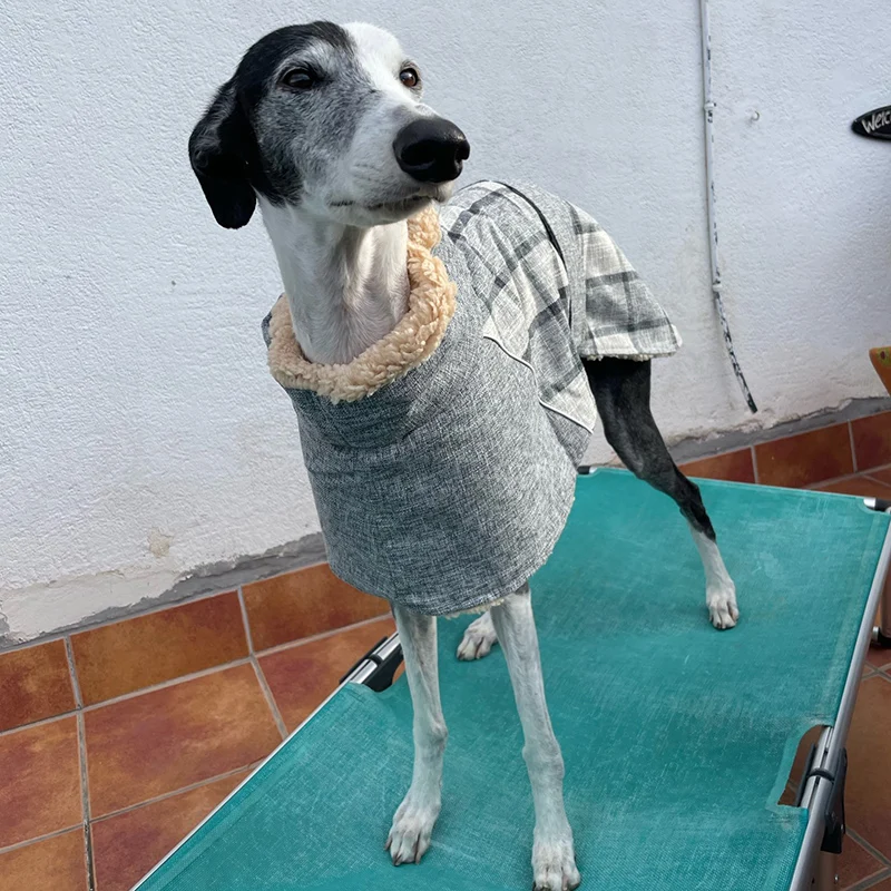 Jaqueta para Cães Grandes de Moletom com Estampa Xadrez - Imagem 5