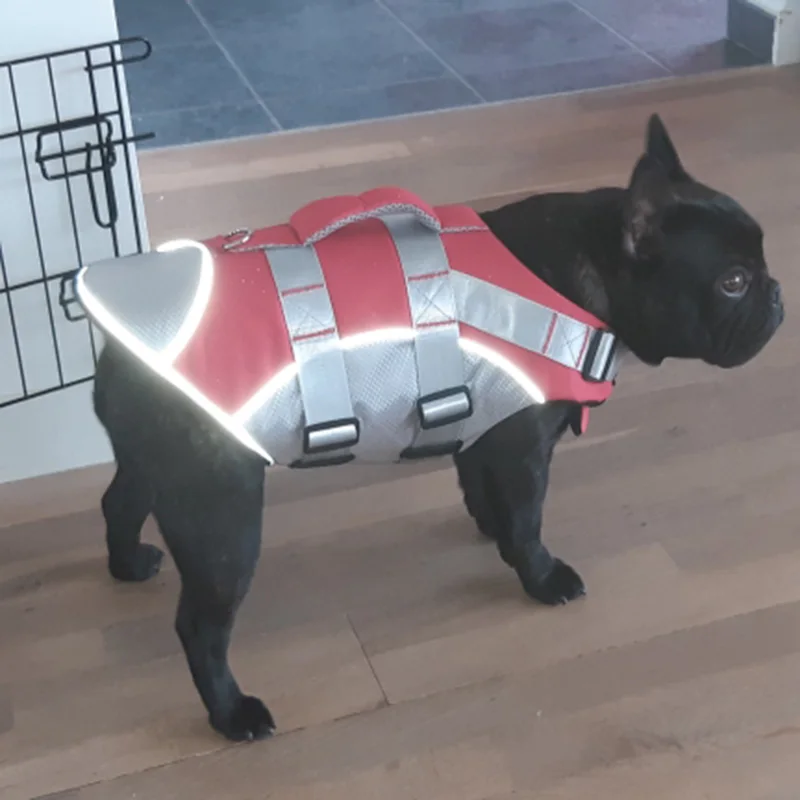 Colete Salva-Vidas para Cães Pequenos e Médios com Material Refletivo - Imagem 3