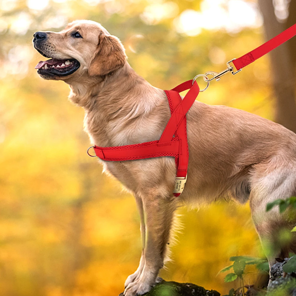 Coleira Peitoral Personalizada para Cães com Guia Ajustável Sem Puxar - Imagem 5