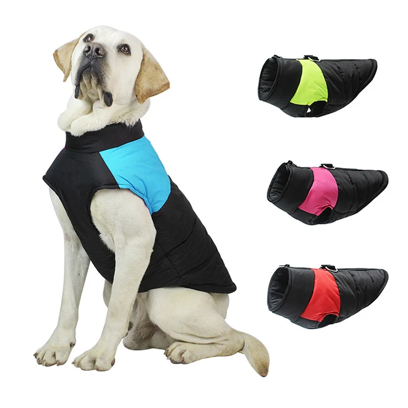 casaco de inverno para cães com fivela