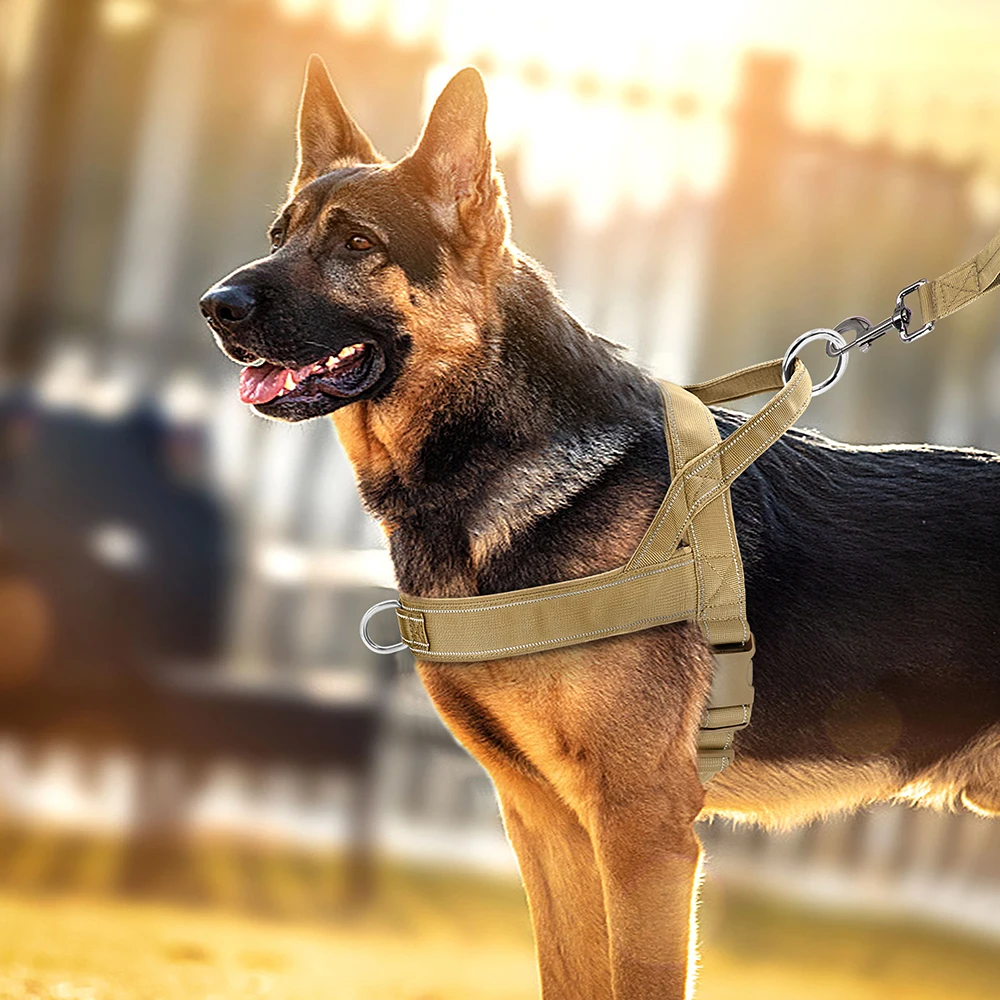 Coleira Peitoral para Cães Ajustável e Refletiva para Passeio - Imagem 6