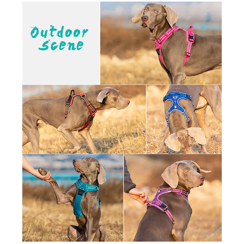Coleira Peitoral Truelove para Cães Refletiva com 4 Ajustes - Imagem 4