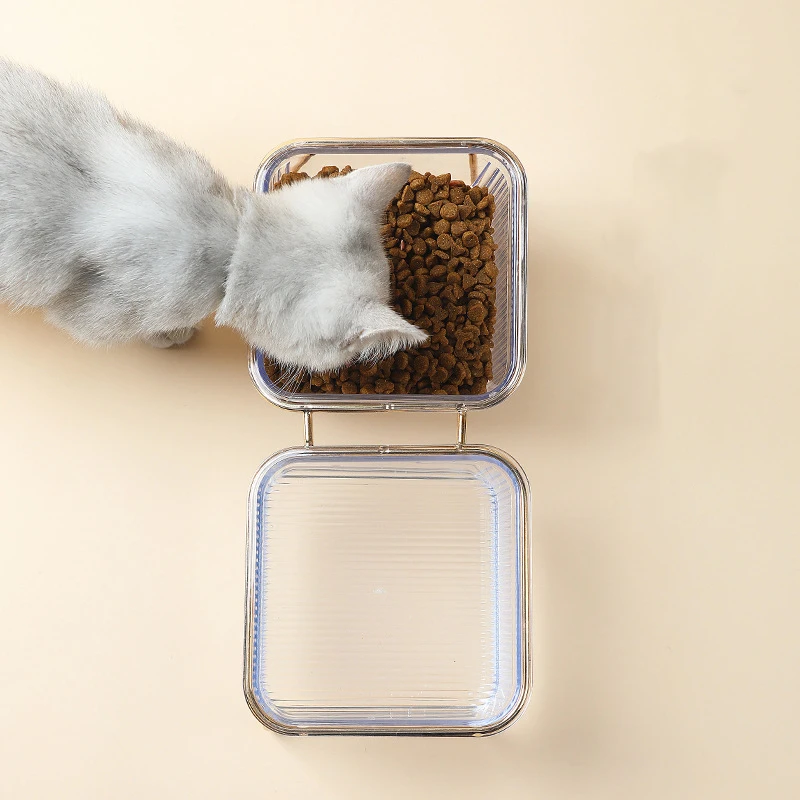 Tigela Dupla para Cães e Gatos Transparente com Suporte Elevado - Imagem 4