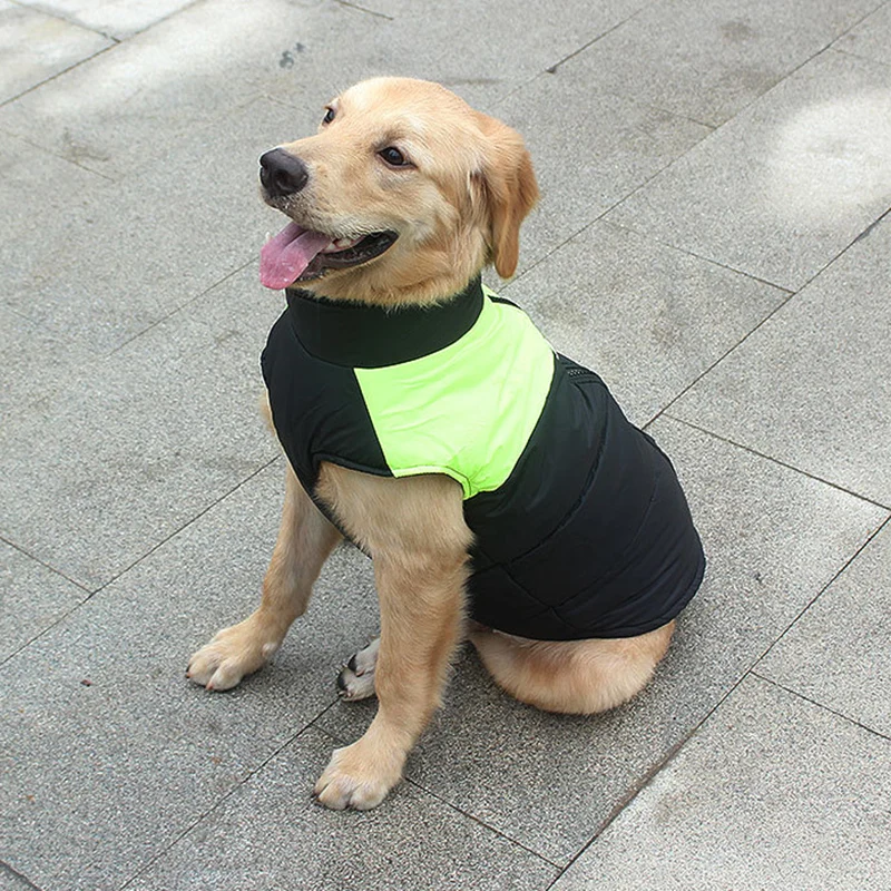 Casaco para Cães Grandes e Pequenos com Fivela para Inverno - Imagem 3