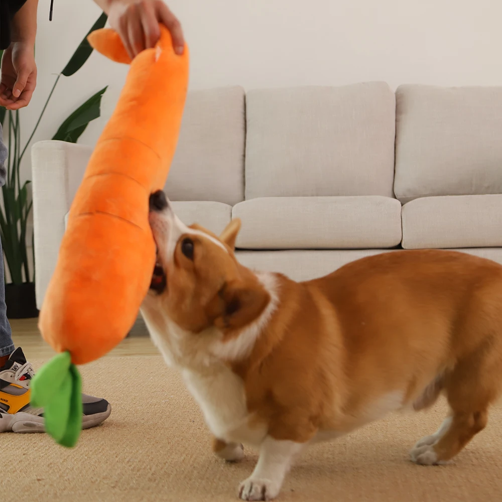 Brinquedo de Pelúcia Hoopet Cenoura para Cães com Som - Imagem 5