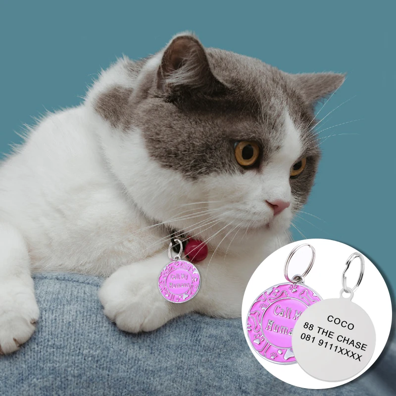 Etiqueta de Identificação para Cães e Gatos com Gravação Gratuita - Imagem 2