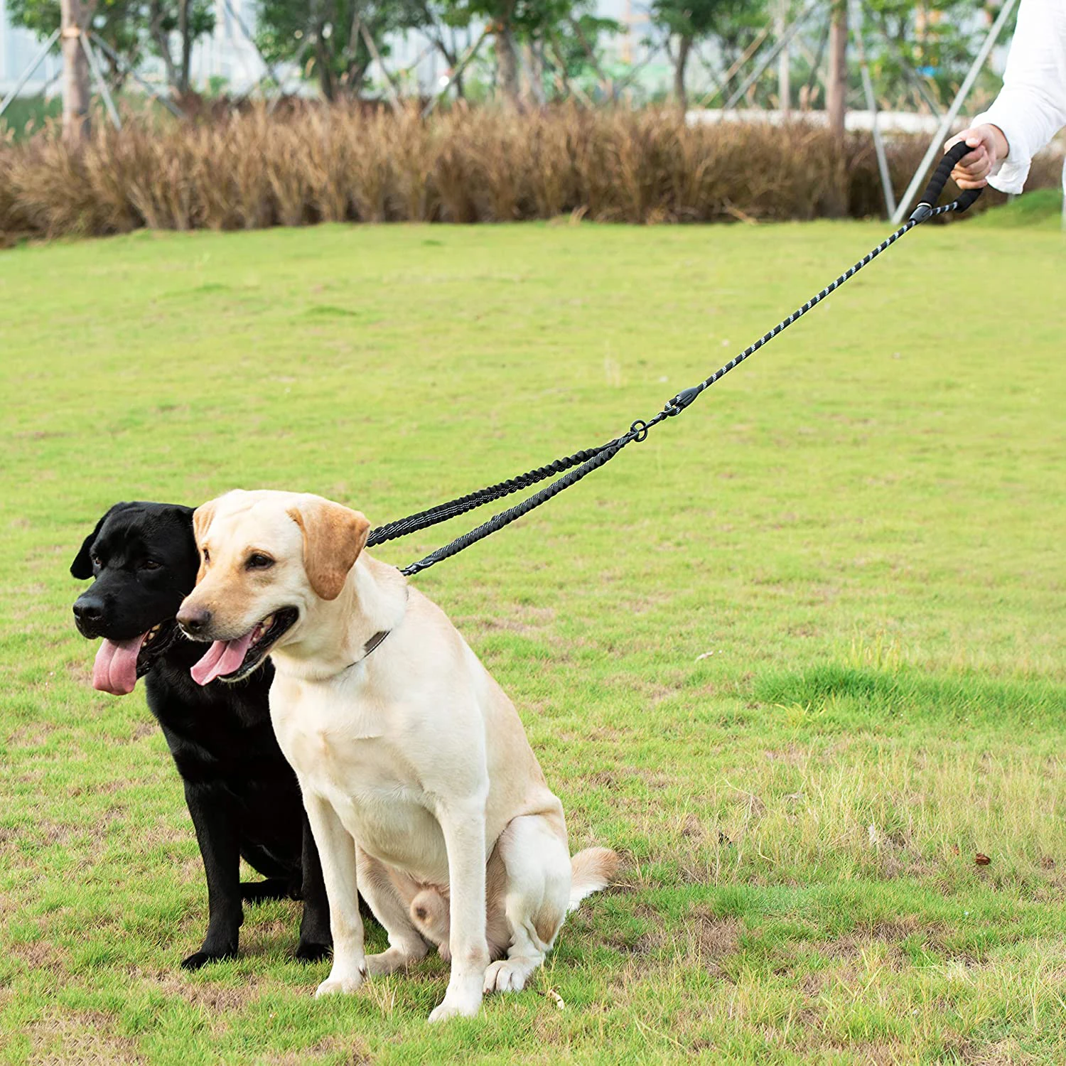 Trela Dupla para Cães de Nylon 1,5m com Extensão Elástica - Imagem 6