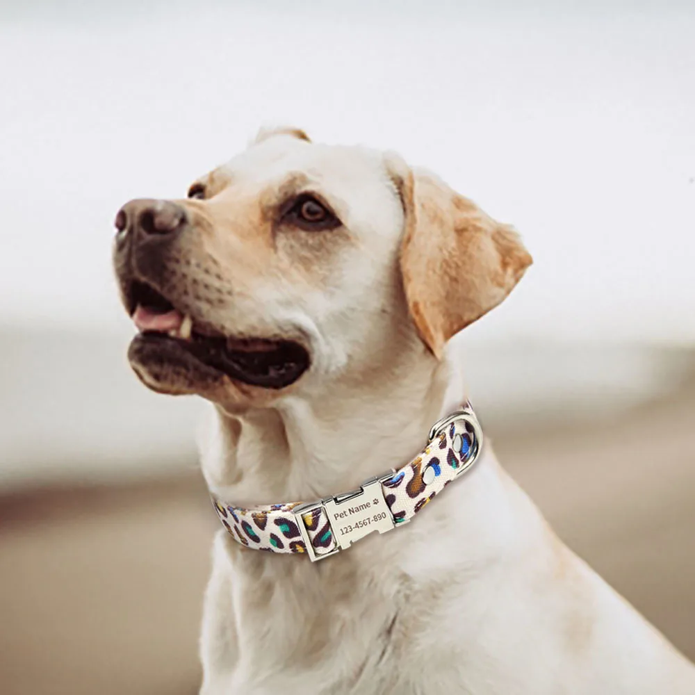 Coleira para Cães com Nome Gravado e Placa de Identificação Ajustável - Imagem 5