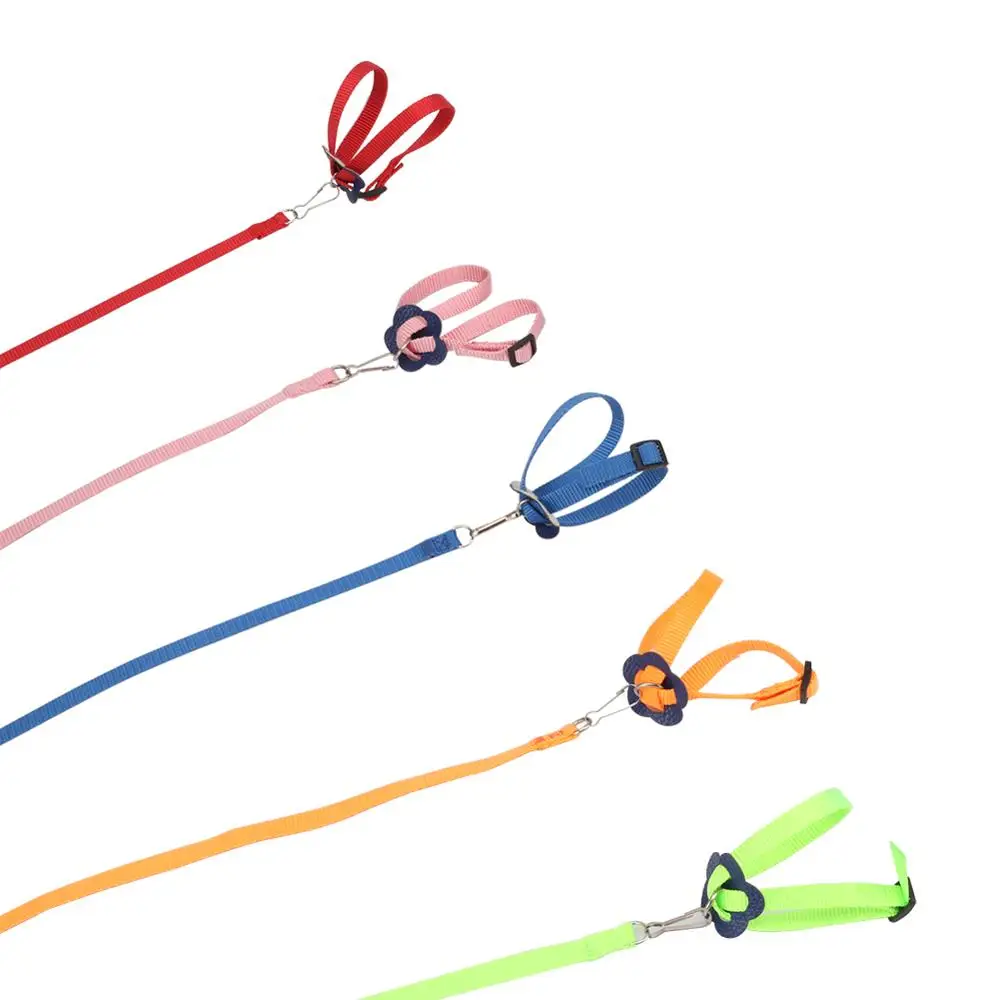 Coleira para Répteis Ajustável de Nylon 1,2 m para Passeio - Imagem 3