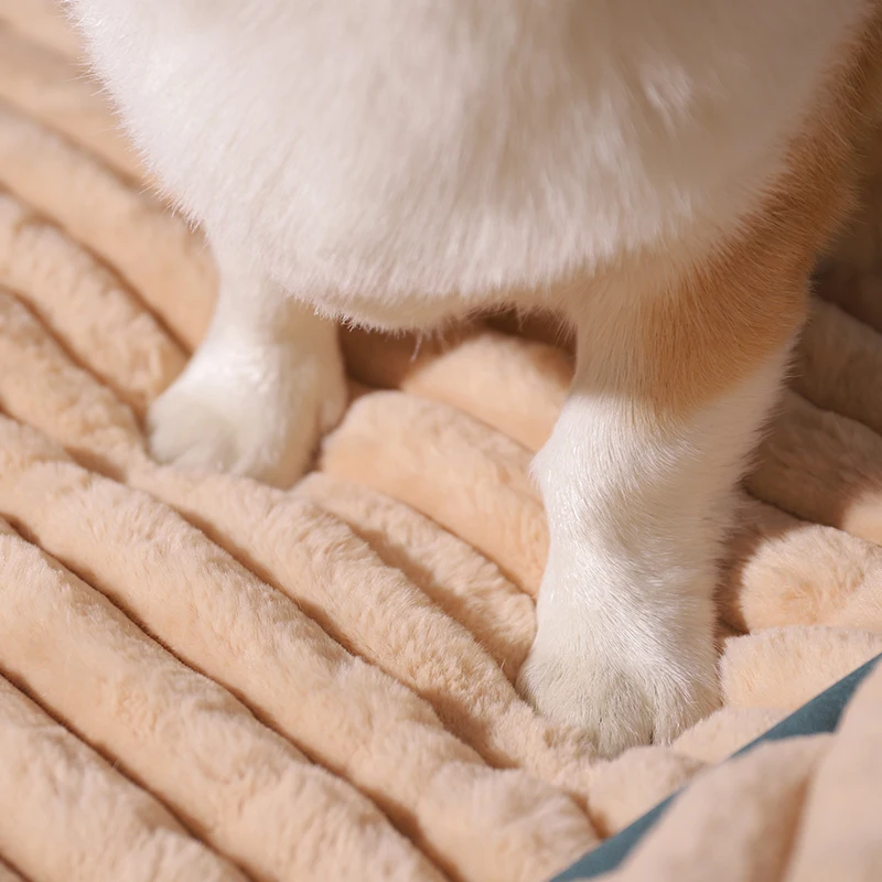 Cama Acolchoada para Cães e Gatos de Poliéster Removível - Image 3