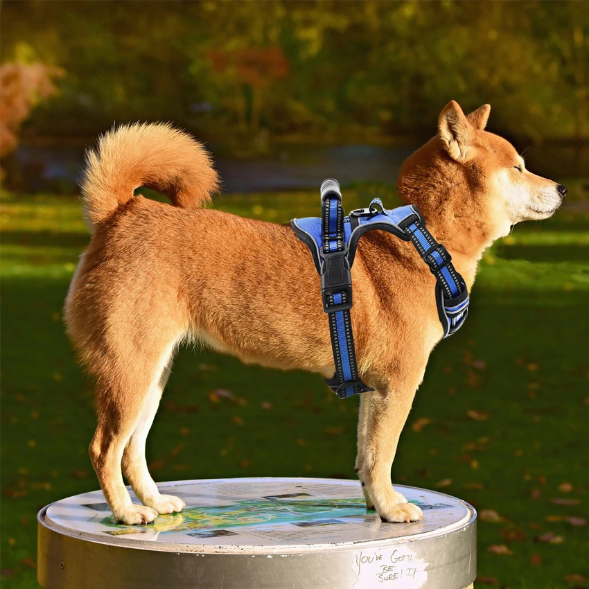 Coleira Peitoral para Cães com Faixa Refletiva e Ajuste 4 Pontos - Imagem 4