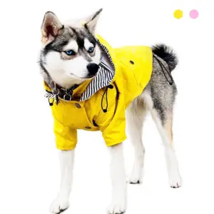 jaqueta impermeável para cães