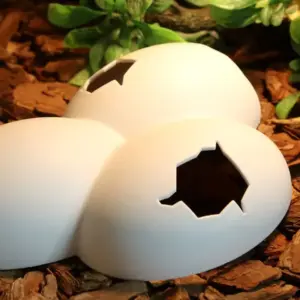 caverna toca para répteis de plástico