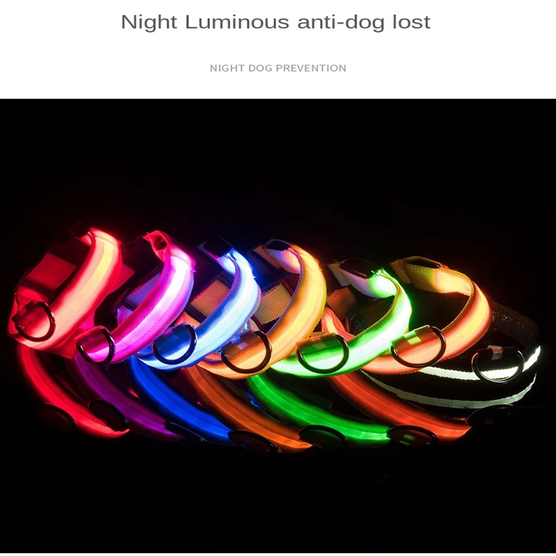 Coleira LED para Cães Recarregável USB com Faixa Luminosa - Image 5