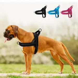 arnês para cães de nylon acolchoado